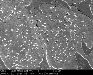 /static/micrographs/micrograph694.png