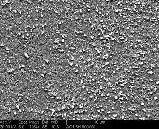 /static/micrographs/micrograph699.png