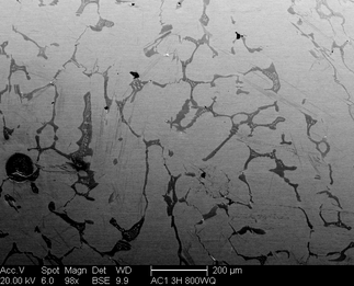 /static/micrographs/micrograph70.png