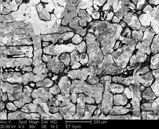 /static/micrographs/micrograph702.png