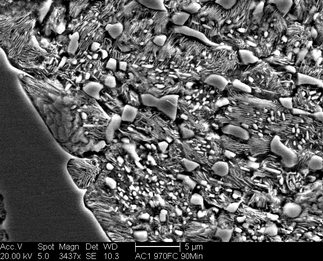 /static/micrographs/micrograph704.png
