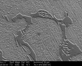 /static/micrographs/micrograph707.png