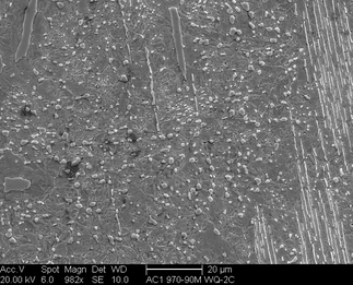 /static/micrographs/micrograph708.png