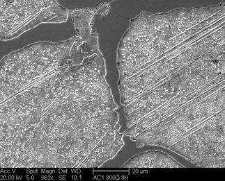 /static/micrographs/micrograph710.png