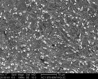 /static/micrographs/micrograph714.png