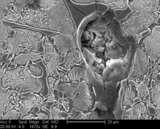 /static/micrographs/micrograph716.png