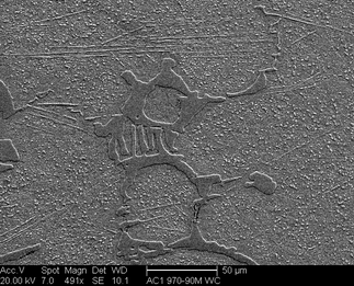 /static/micrographs/micrograph717.png