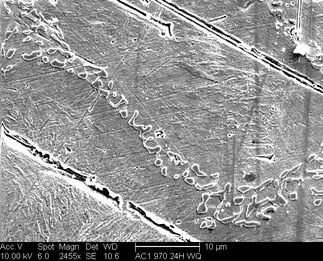 /static/micrographs/micrograph718.png