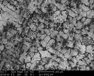 /static/micrographs/micrograph72.png