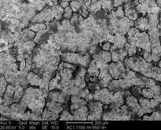 /static/micrographs/micrograph721.png