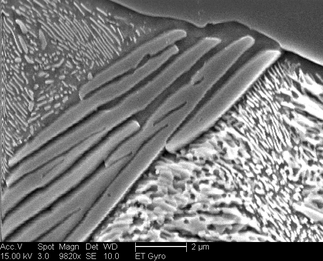 /static/micrographs/micrograph725.png