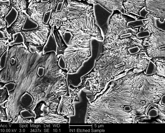 /static/micrographs/micrograph727.png