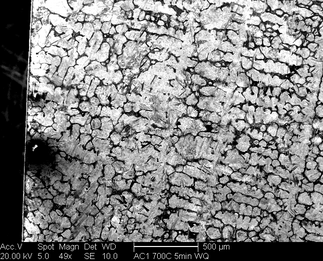 /static/micrographs/micrograph728.png