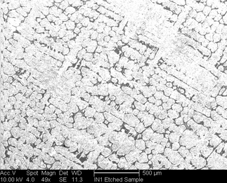 /static/micrographs/micrograph732.png