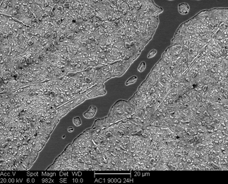 /static/micrographs/micrograph734.png