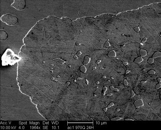 /static/micrographs/micrograph736.png