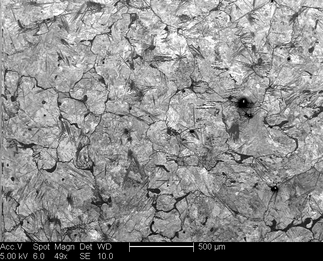 /static/micrographs/micrograph737.png