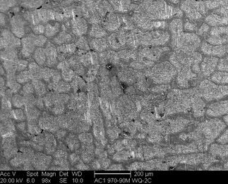 /static/micrographs/micrograph738.png