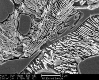/static/micrographs/micrograph74.png