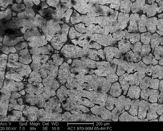 /static/micrographs/micrograph741.png