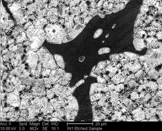 /static/micrographs/micrograph742.png