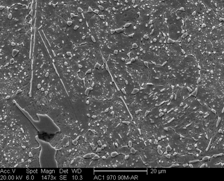 /static/micrographs/micrograph745.png