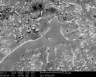 /static/micrographs/micrograph746.png