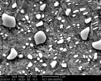 /static/micrographs/micrograph747.png