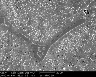 /static/micrographs/micrograph75.png