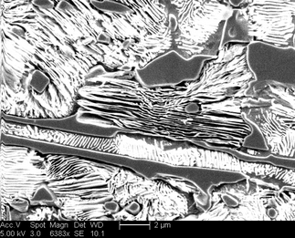 /static/micrographs/micrograph753.png