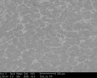 /static/micrographs/micrograph755.png