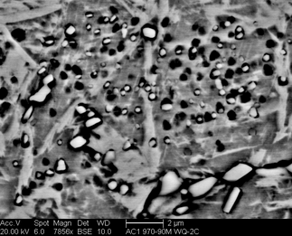 /static/micrographs/micrograph756.png