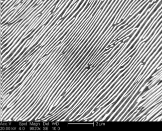 /static/micrographs/micrograph757.png