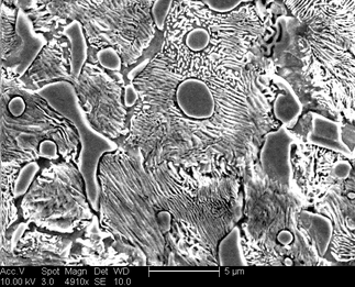 /static/micrographs/micrograph758.png