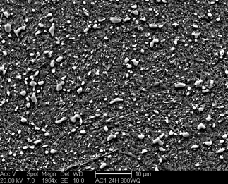/static/micrographs/micrograph76.png