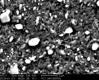 /static/micrographs/micrograph762.png