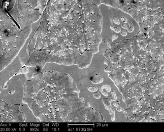/static/micrographs/micrograph764.png