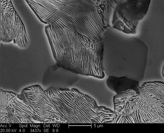 /static/micrographs/micrograph768.png