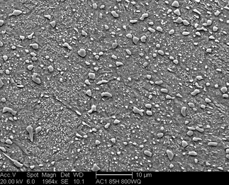 /static/micrographs/micrograph772.png