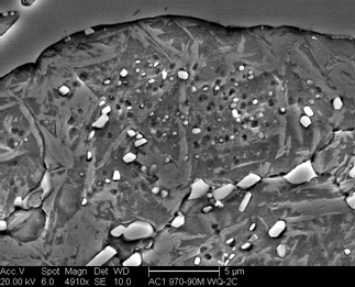 /static/micrographs/micrograph776.png