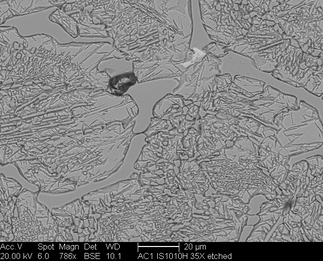 /static/micrographs/micrograph785.png