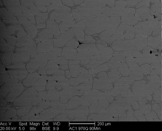 /static/micrographs/micrograph791.png