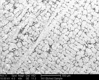 /static/micrographs/micrograph795.png