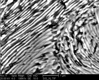 /static/micrographs/micrograph796.png