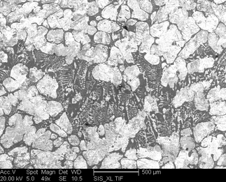 /static/micrographs/micrograph799.png