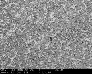 /static/micrographs/micrograph80.png