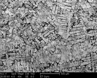 /static/micrographs/micrograph805.png