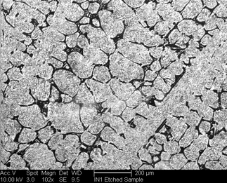 /static/micrographs/micrograph806.png
