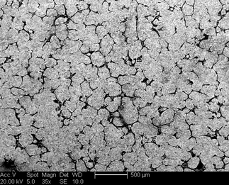 /static/micrographs/micrograph807.png