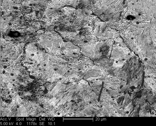 /static/micrographs/micrograph808.png